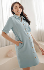 Daphne Denim Nursing Dress