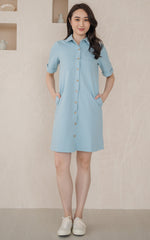 Daphne Denim Nursing Dress