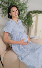 Kailani Nursing Dress in Blue